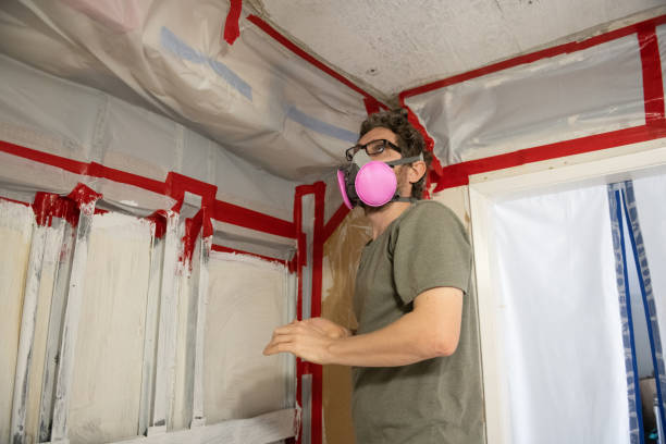 Mold Remediation for Vacation Homes in Bigfork, MT